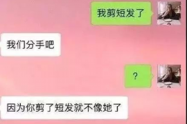 丽水债务清欠服务